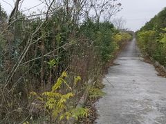 -宁波市保国寺古建筑博物馆