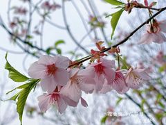 -梁鸿国家湿地公园