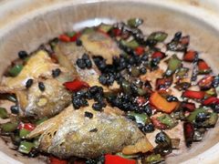 -张家卫·阳江菜·小海鲜(肥婆湾桥店)