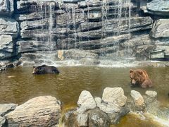 -北京野生动物园