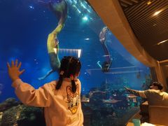 -海棠湾洲际-涛·海底餐厅·美人鱼·自助餐·海底隧道