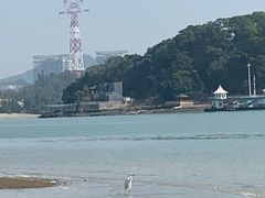 -海沧湾公园