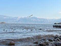 -西昌邛海湿地