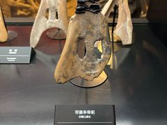 -河姆渡遗址博物馆