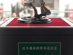 -辽宁古生物博物馆