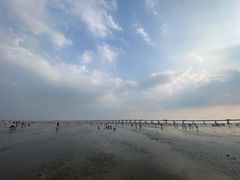 -南汇新城海滩