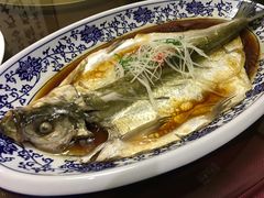 清蒸大白鱼-三品尚院(贝勒府旧址店)