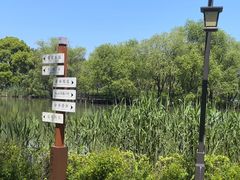 -长兴太湖图影湿地文化园