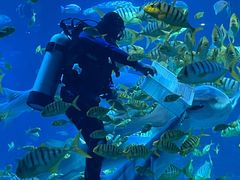 -太平洋海底世界