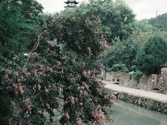 -楠溪江风景名胜区