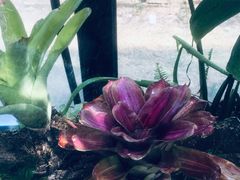 -北马山庄植趣咖啡