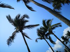 -三亚亚龙湾天域度假酒店