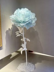 -乐派诗婚纱摄影