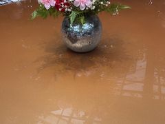 -金稼园·金平湖农家菜