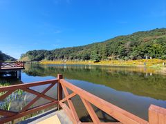 -广州市石门国家森林公园