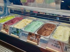 -极拉图·现制冰淇淋(大卫城店)