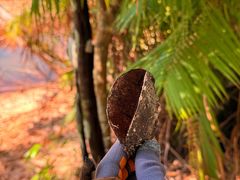 -海南热带雨林国家公园吊罗山景区