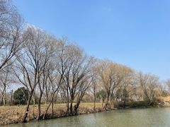 -长兴太湖图影湿地文化园