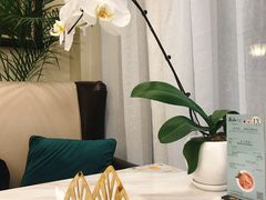 店内布置-子霖南山鲜虾面(南山总店)