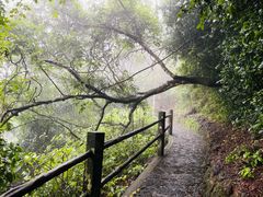 -海口火山口国家地质公园