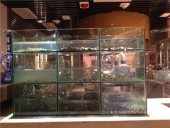水产区-怡咖啡自助餐(宁波香格里拉店)