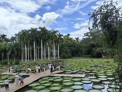 -中国科学院西双版纳热带植物园