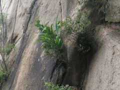 -北京凤凰岭
