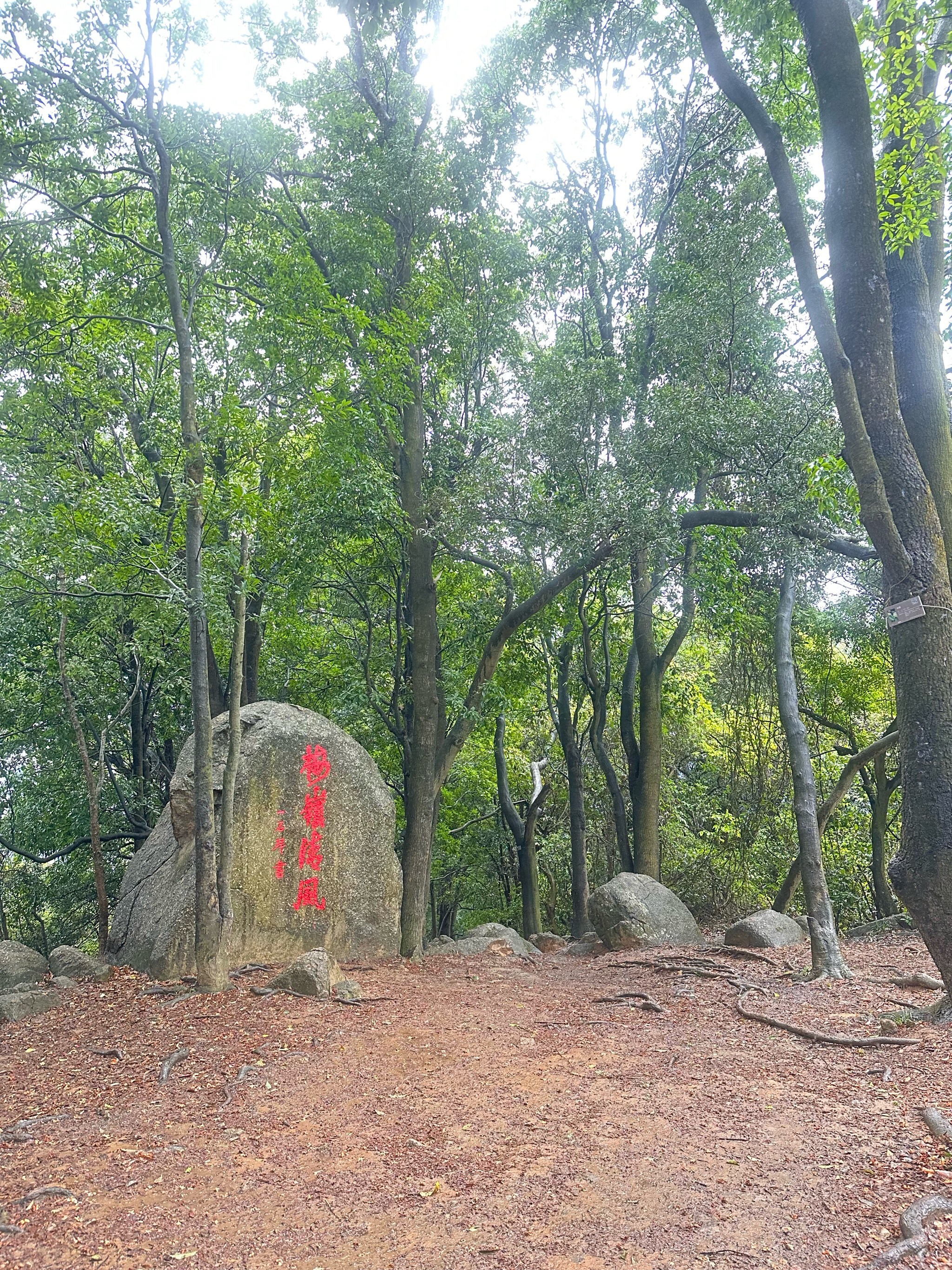 山路小径漫游,梅林山郊野径