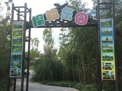 -上海长兴岛郊野公园