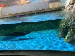 -常州海昌海洋探索馆