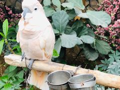 -南宫五洲植物乐园