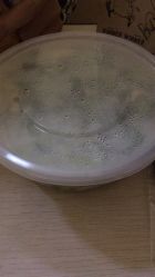 -复旦大学附属妇产科医院(杨浦院区)