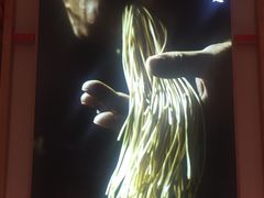 -味千拉面(光启城时尚购物中心店)