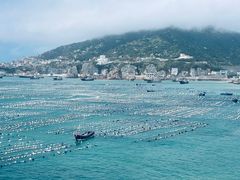 -枸杞岛