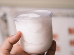-洪馨椰子