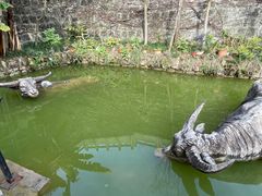 -燊海井