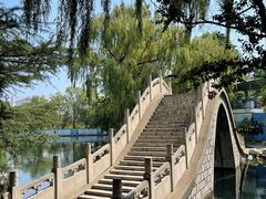 -百脉泉景区