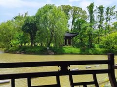 -江心屿景区