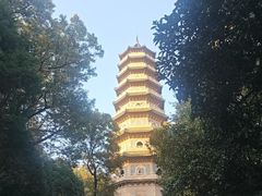 -灵谷景区