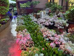 -山菌美食苑(振兴路店)