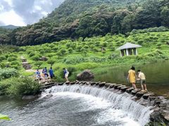 -广州市石门国家森林公园