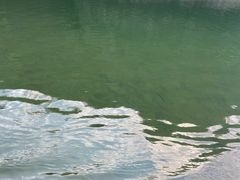 -九曲溪竹筏码头