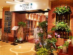 等位区-香格里拉鱼跃地中海西餐厅·牛排披萨