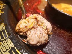 -味舵主重庆火锅(邓尉路店)