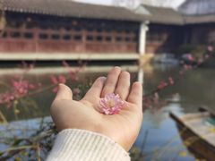 -艺圃