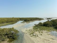-北海金海湾红树林生态旅游区