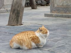 -雁门关景区