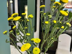 -南堂馆·新川菜(春熙路店)