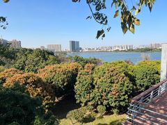 -立新湖公园