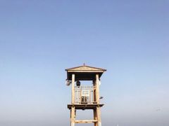 -渡海小渔村.老辈日照菜